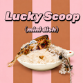 Lucky Scoop - Mini Dish